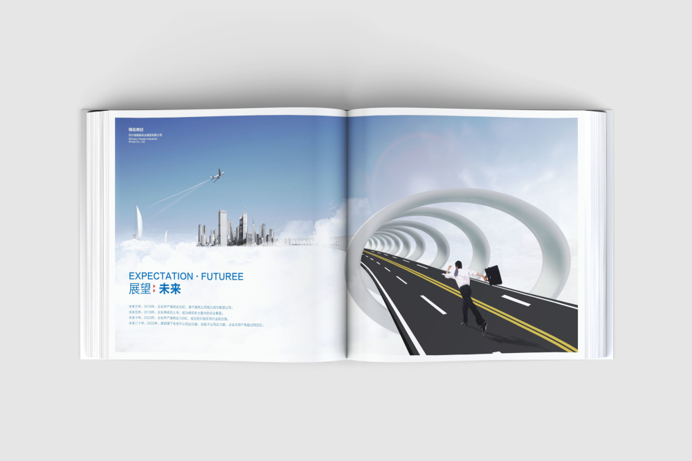 友好区画册设计